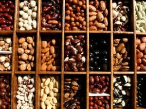 cultivated biodiversity beans