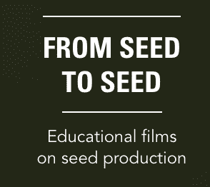 From Seed to Seed