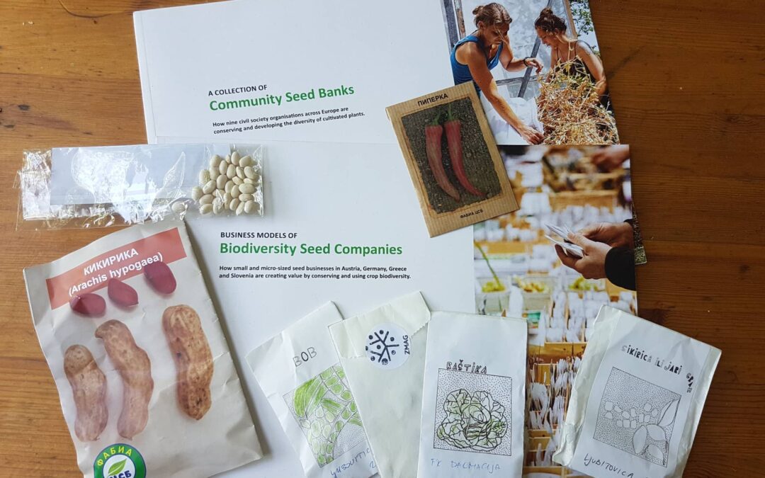 The new Balkan Seed Network: opportunities for Eastern Europe
