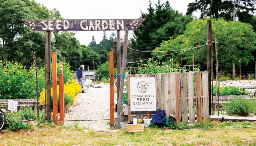 Seed garden_madelocalmagazine