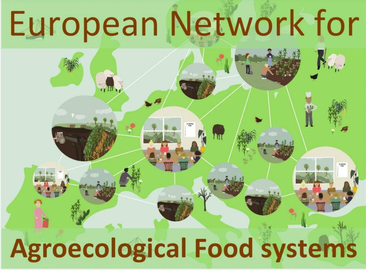 Press Release: Launch of the European Network of Agroecological Food Systems