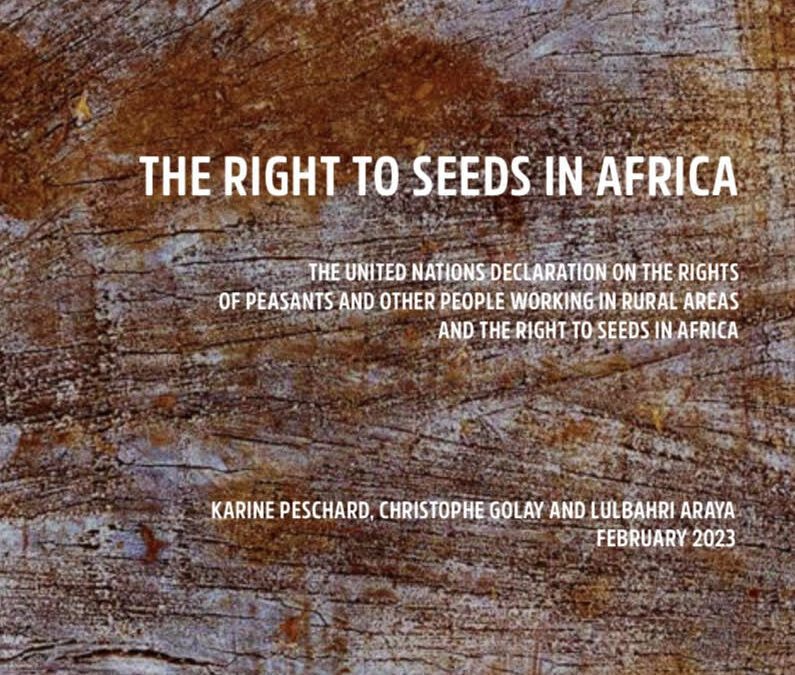 Report “The Right to Seeds in Africa” published