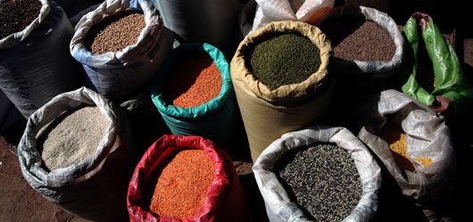 Farmer Rights to Seeds for food and livelihood security